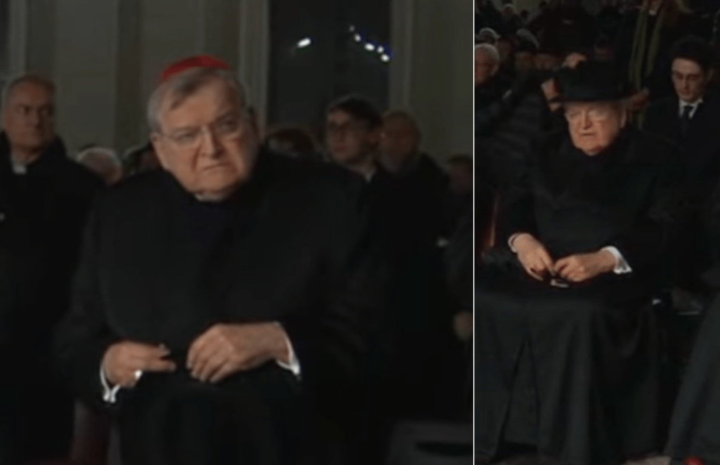 Cardinal Burke Spotted Praying Rosary for Pope Francis in the Cold Despite Past Feud: ‘What Christian Charity Looks&nbsp;Like’